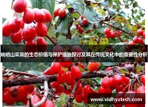 姚明山茱萸的生态价值与保护措施探讨及其在传统文化中的重要性分析